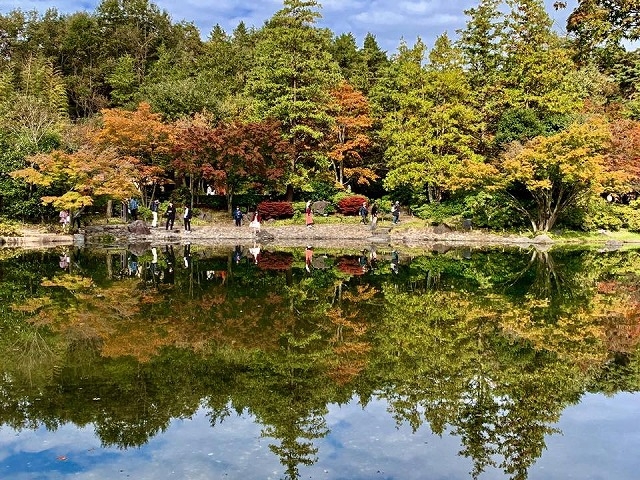 昭和記念公園より