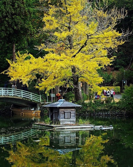 薬師池公園より