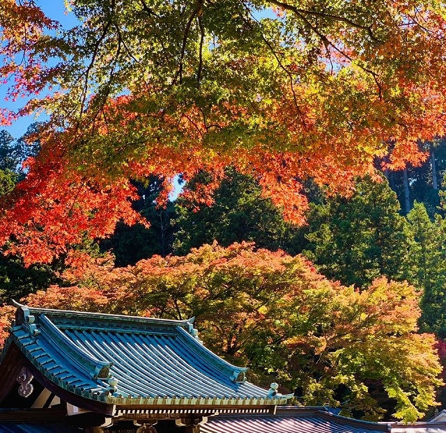 大雄山最乗寺